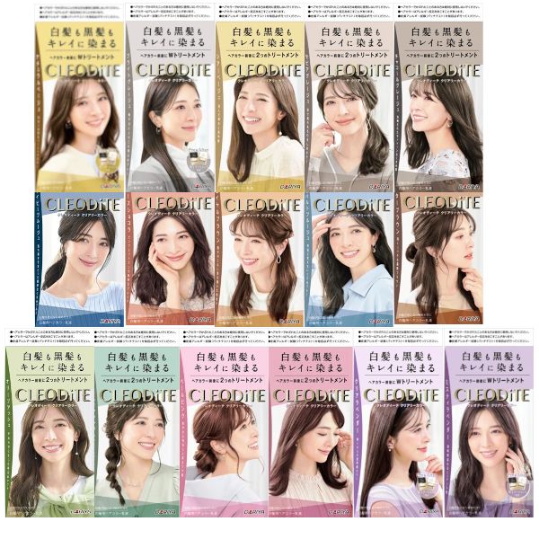 Dariya Cleodite Cleary Hair Color For Gray Hair - 1 set