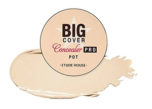 Etude House Etude House Big Cover Concealer Pro Pot In Beige
