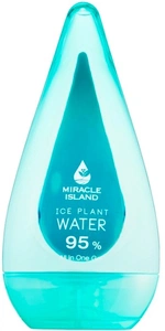 MIRACLE ISLAND Ice Plant Water 95% All In One Gel