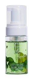 n'pure Face Wash Cica Series