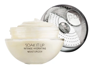 Pur Cosmetics Soak It Up Intense Hydrating Moisturizer