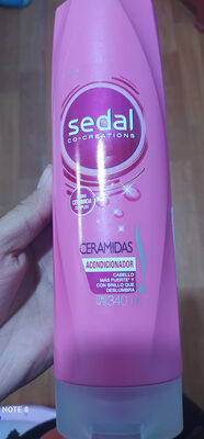 sedal