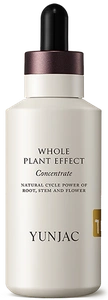 Yunjac Whole Plant Effect Concentrate